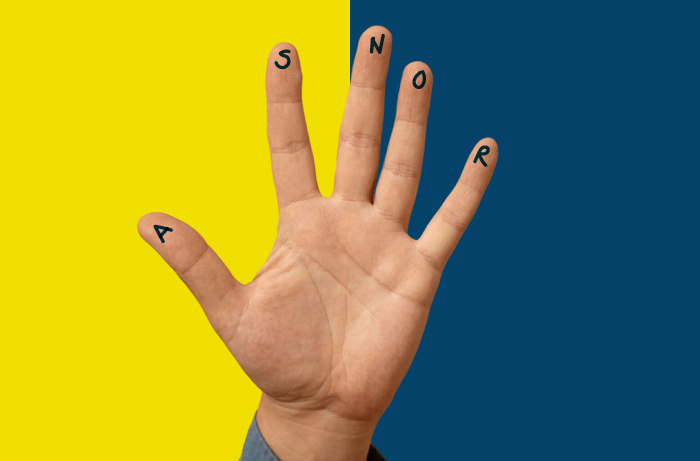 Asnor, professione orientatore