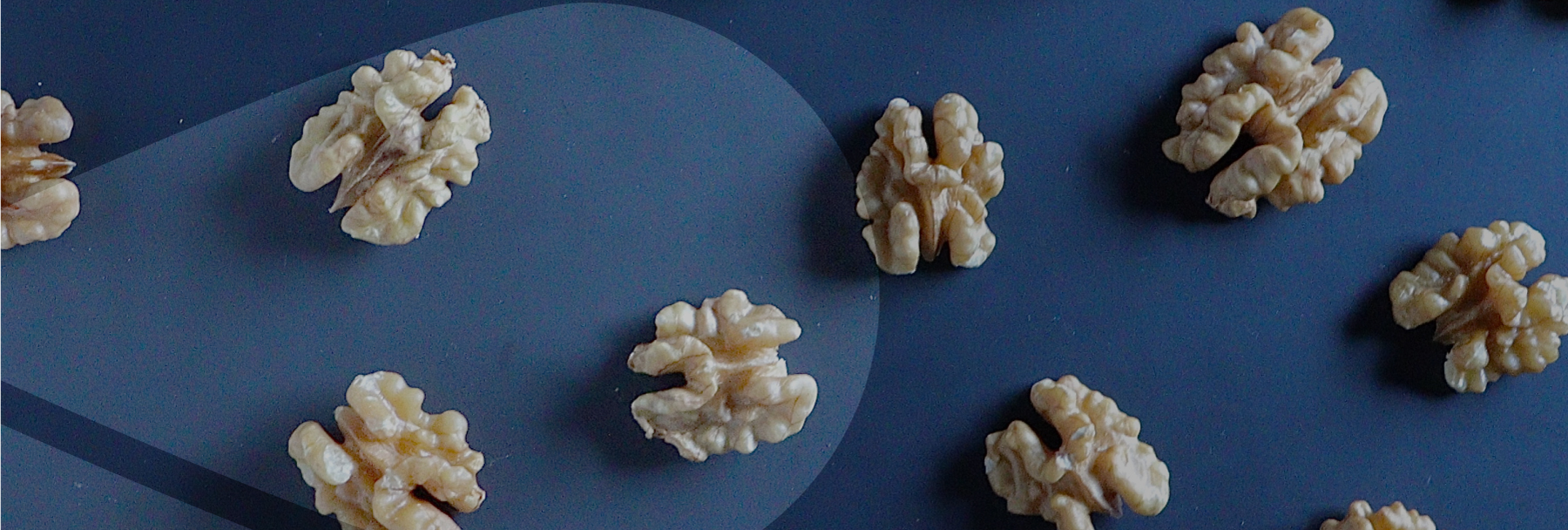 Life skills, intelligenza emotiva e codici di comunicazione umana