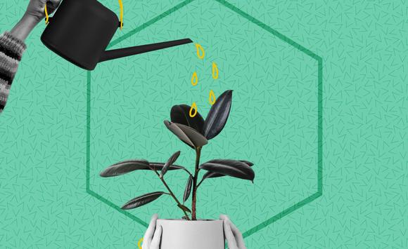 L'ecosistema orientamento: oltre le mission aziendali