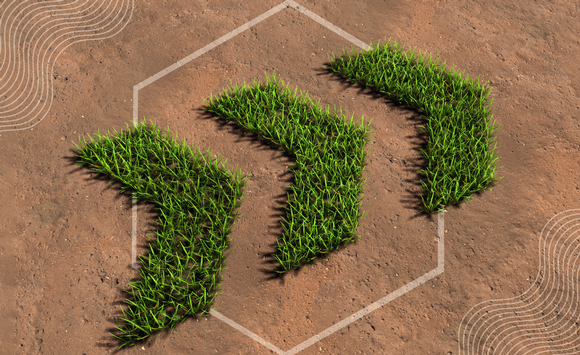 Green Guidance, percorsi di orientamento alle professioni verdi