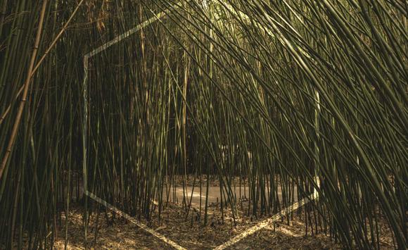 La resilienza: una capacità fondamentale nel mondo del lavoro