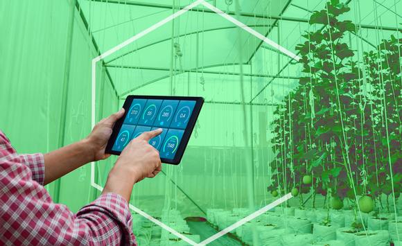 Le nuove professionalità del settore agrario, l'I.I.S. N. Pellegrini di Sassari e i suoi innovativi progetti di orientamento al lavoro