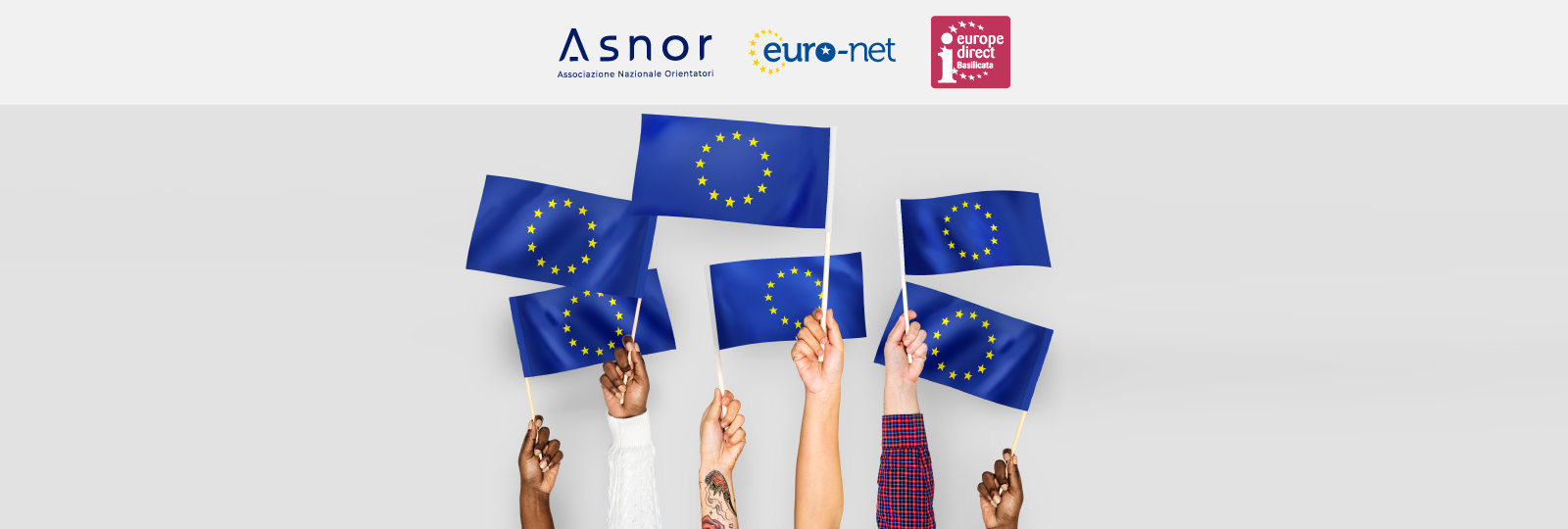 Piano della Commissione Europea per la Diversità e l'Inclusione + Caso Pratico progetto REUERHC di EURO-NET